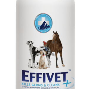 Effivet