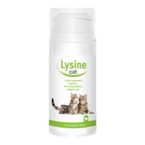 Lysine for Cats