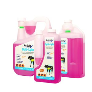 Rezult Optilyte for Horses